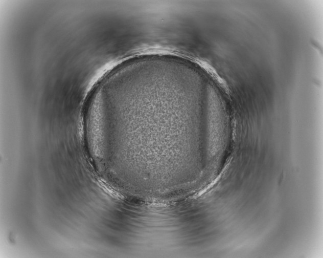 X0000095531167200712281516