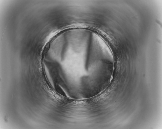 X0000095531168200712281516