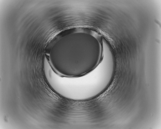 X0000095531169200712281516