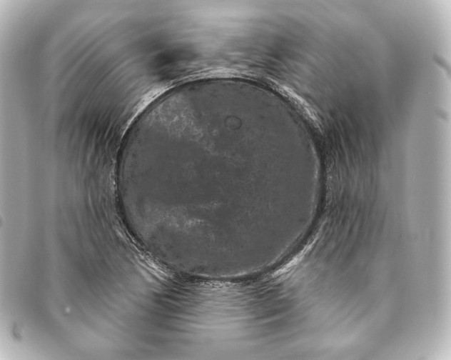 X0000095531170200712281516