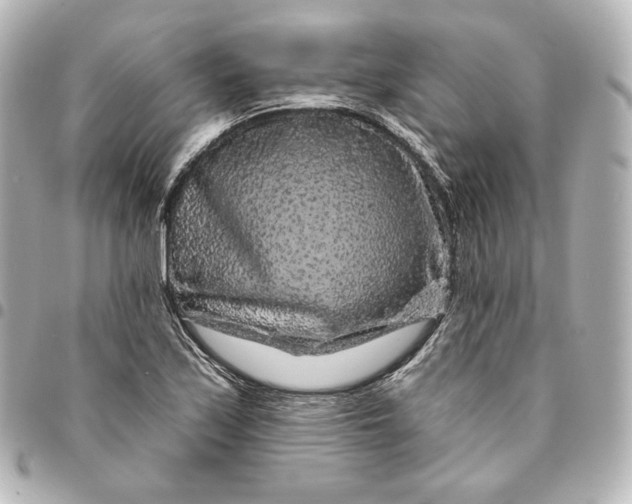 X0000095531171200712281516