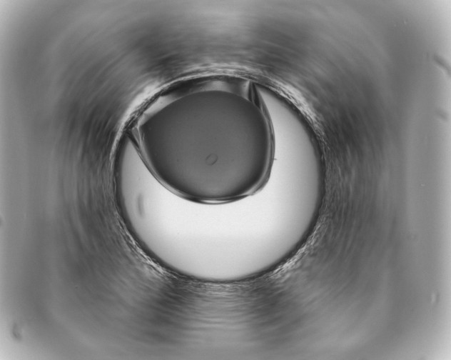 X0000095531172200712281516