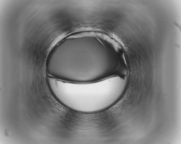 X0000095531173200712281516