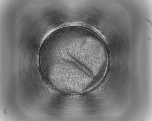 X0000095531174200712281516