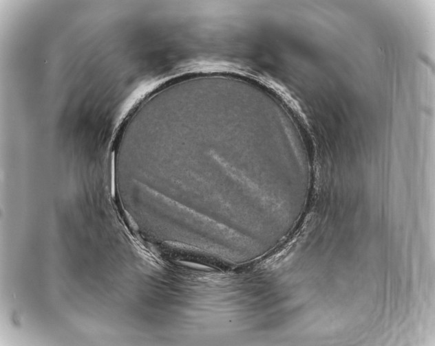X0000095531175200712281516