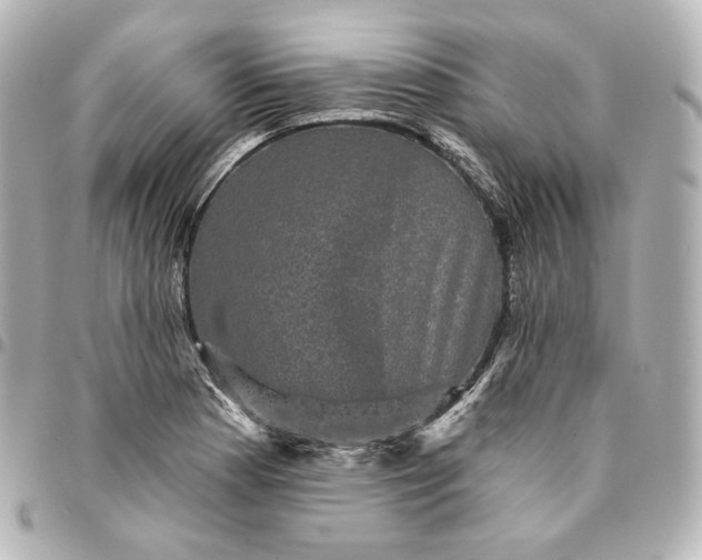 X0000095531177200712281516