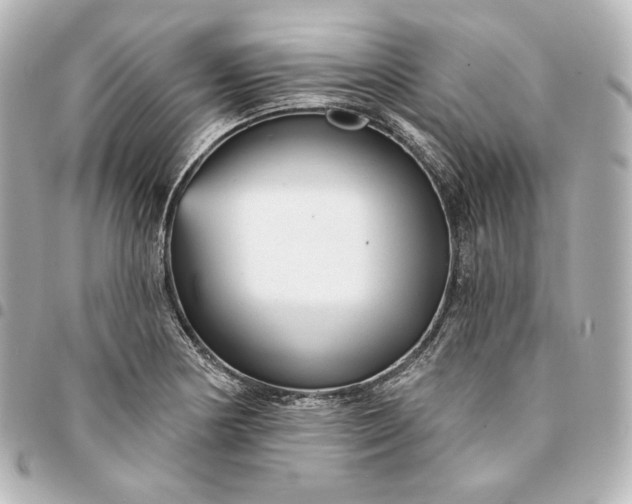 X0000095531178200712281516