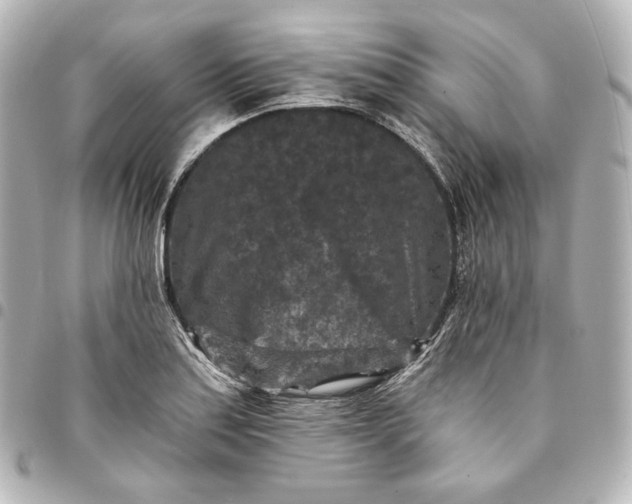 X0000095531179200712281516