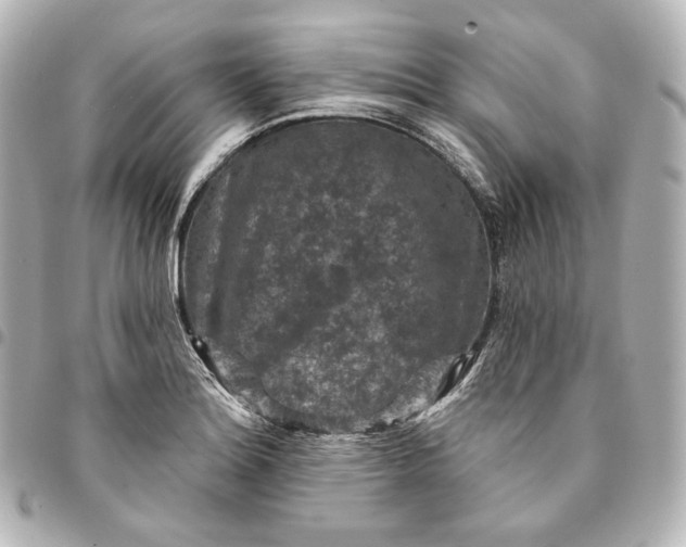X0000095531180200712281515