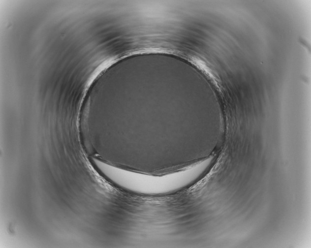 X0000095531181200712281515