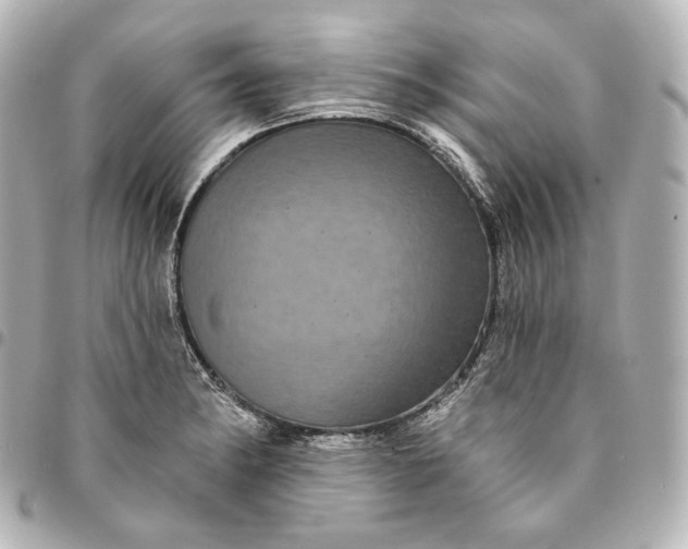 X0000095531182200712281515