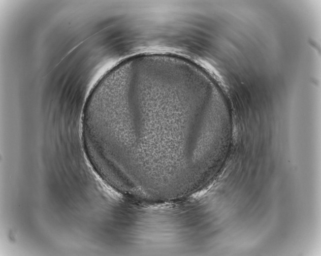 X0000095531183200712281515