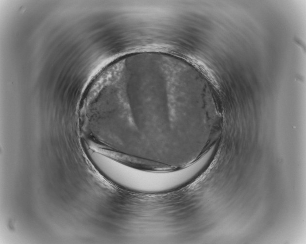 X0000095531184200712281515