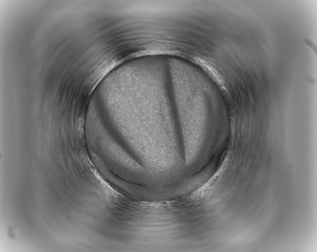 X0000095531185200712281515