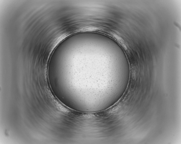 X0000095531186200712281515