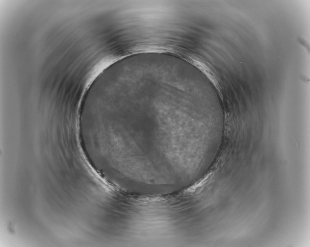 X0000095531187200712281515