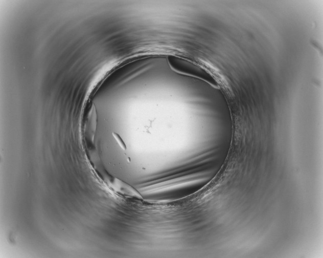 X0000095531188200712281515