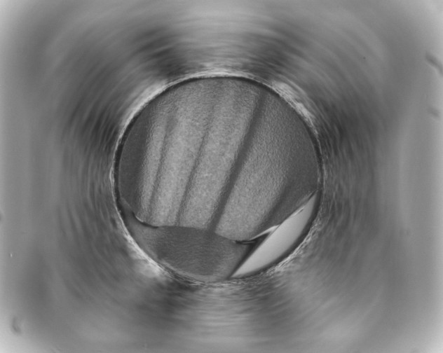 X0000095531189200712281515