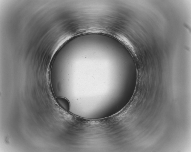 X0000095531190200712281515