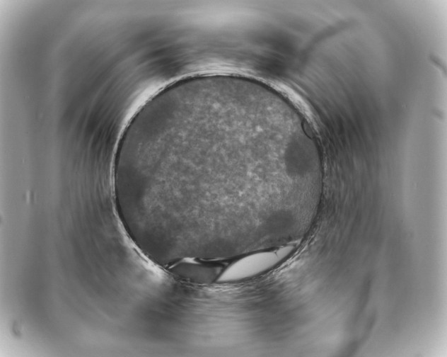 X0000095531191200712281515