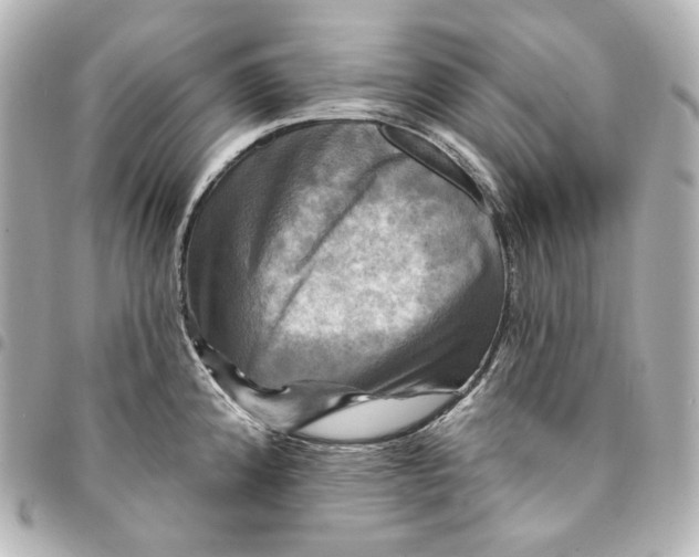 X0000095531192200712281515