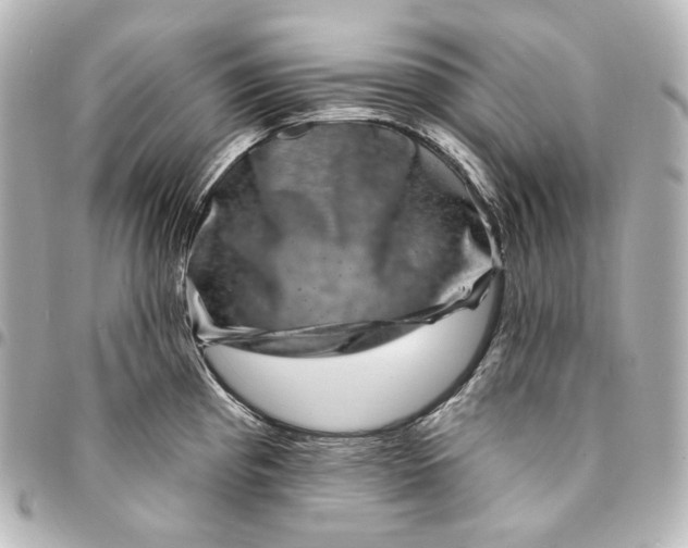X0000095531193200712281515