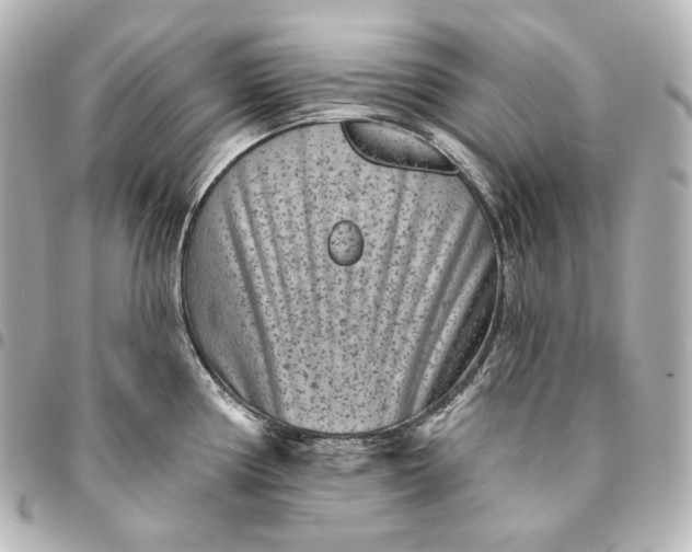 X0000095531194200712281515