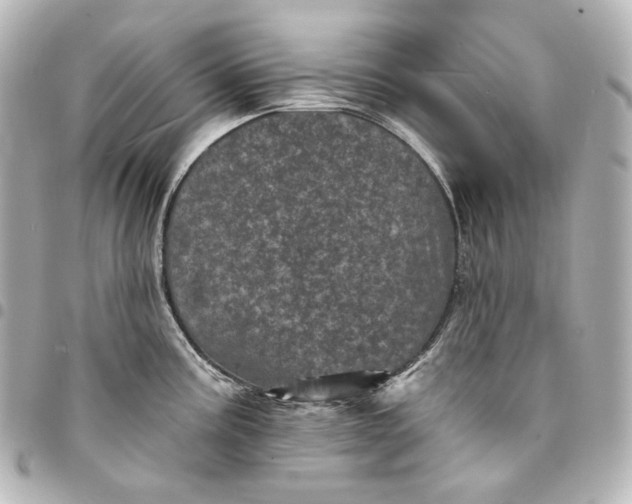 X0000095531195200712281515