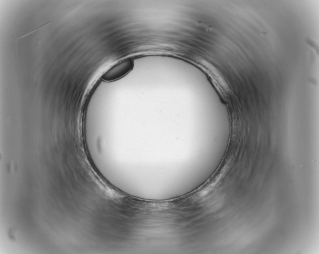 X0000095531196200712281515