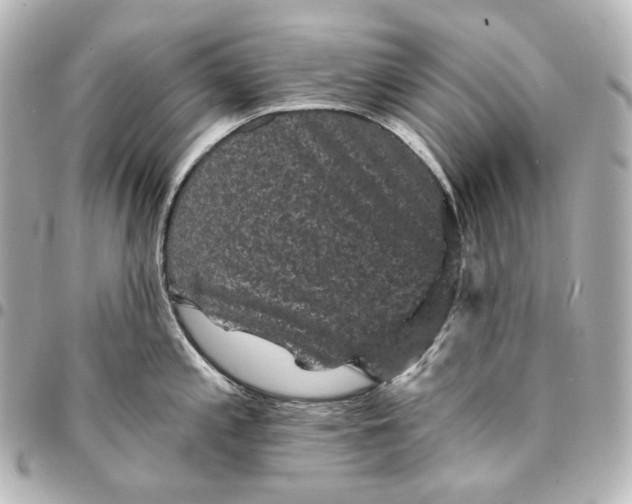 X0000095531197200712281515
