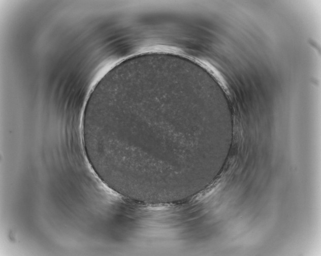 X0000095531199200712281515