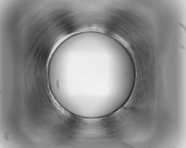 X0000095531200200712281515
