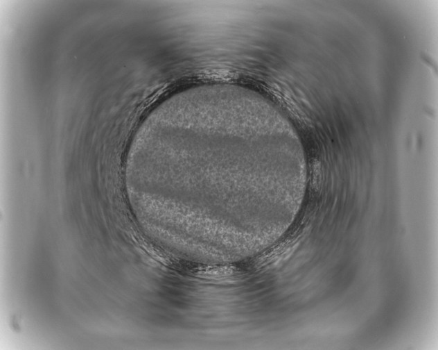 X0000095531201200712281515