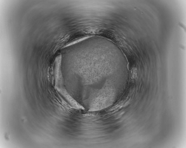X0000095531202200712281515