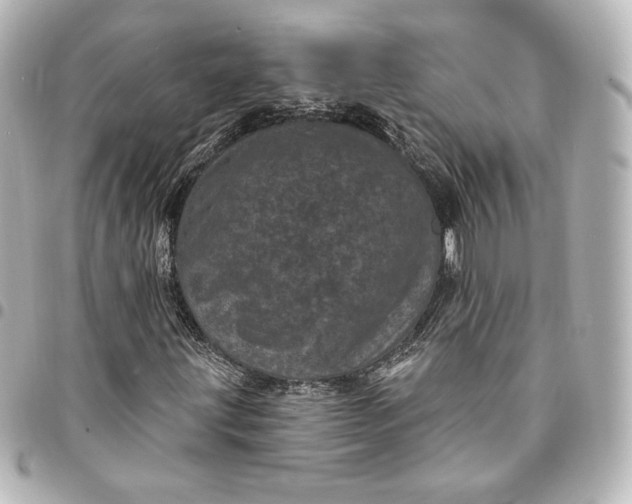 X0000095531203200712281515