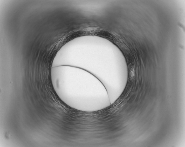 X0000095531204200712281515