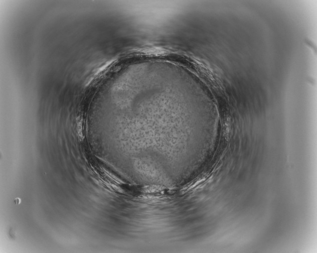 X0000095531205200712281515