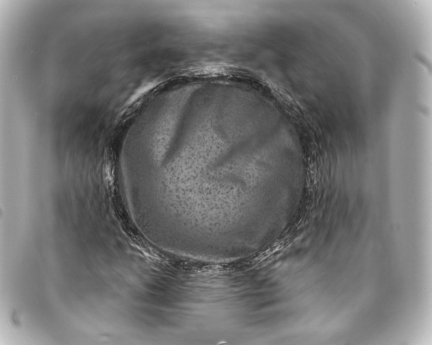 X0000095531206200712281515