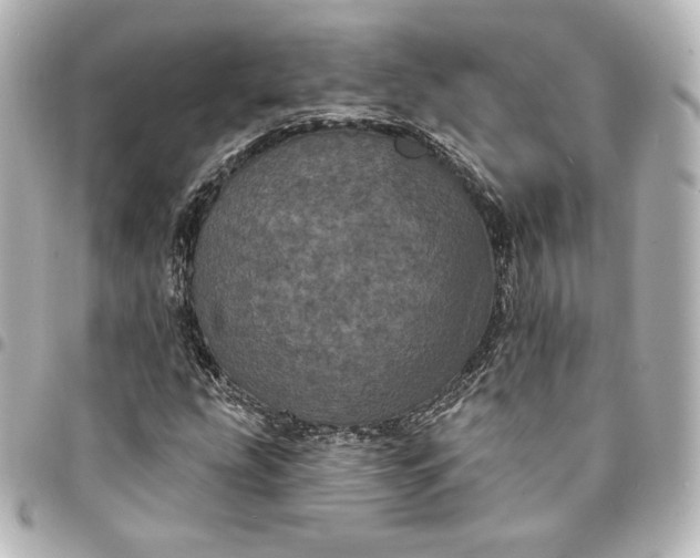 X0000095531207200712281515
