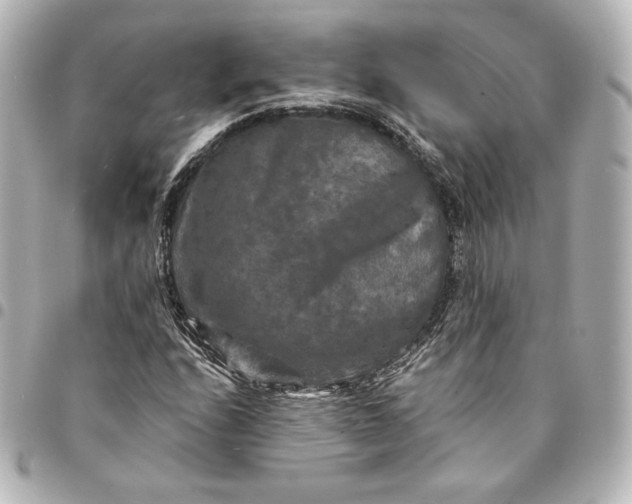 X0000095531208200712281515