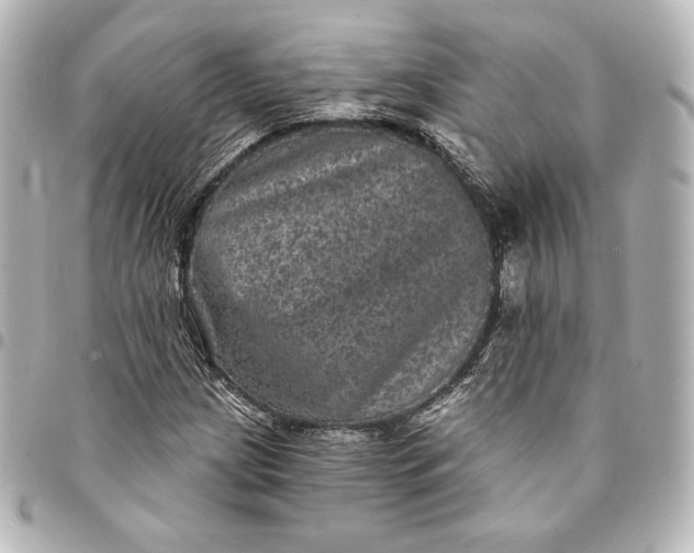 X0000095531209200712281515