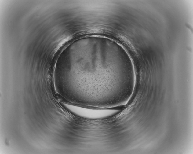 X0000095531210200712281515