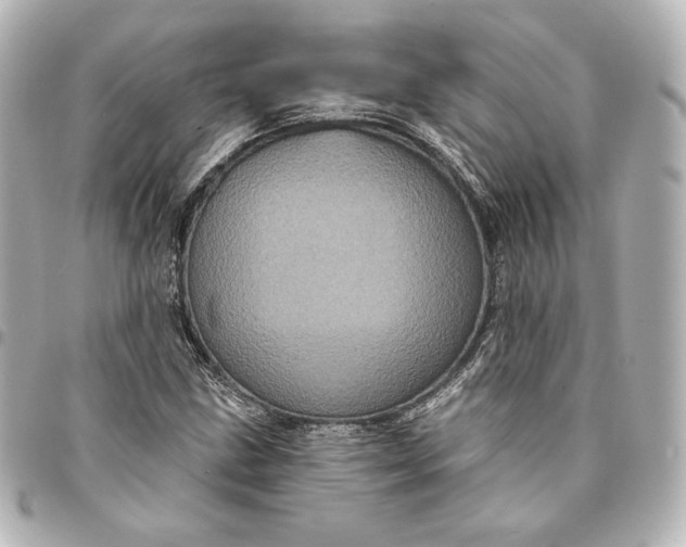 X0000095531211200712281515