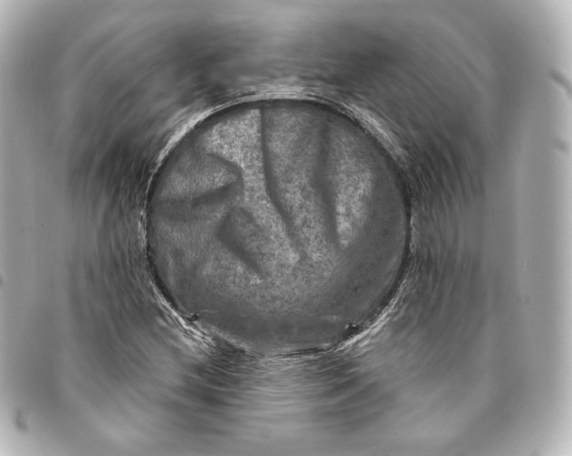 X0000095531212200712281515