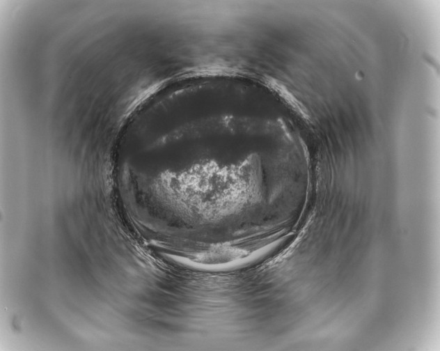 X0000095531213200712281515