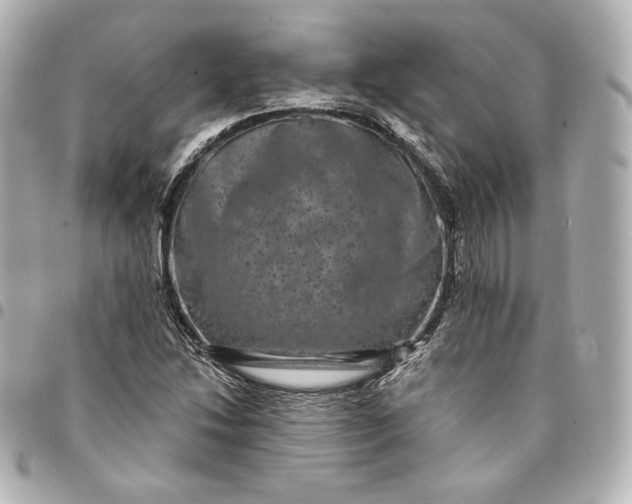X0000095531214200712281515