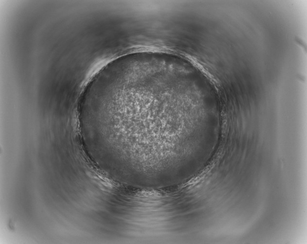 X0000095531215200712281515