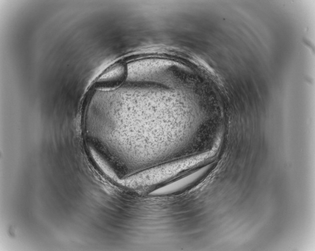 X0000095531216200712281515