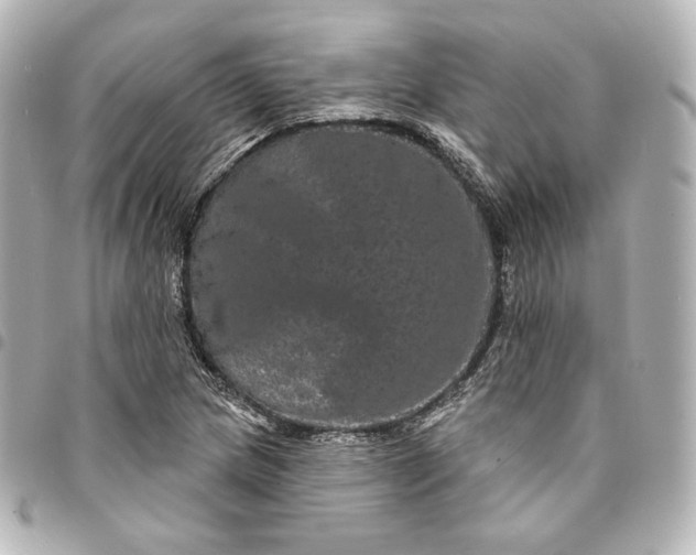 X0000095531217200712281515