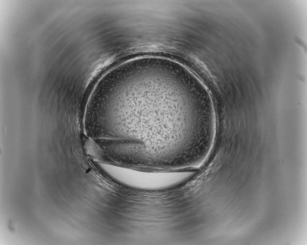 X0000095531218200712281515
